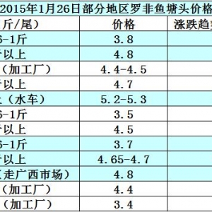 �_���~�r���܈��������Ӵ� �����~�r�R�q