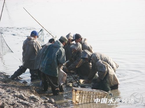 �����S÷�h���к���ˮ�~(y��)���Ј�(ch��ng)��(b��o)��