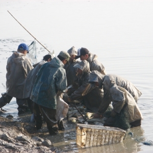 �����S÷�h���к���ˮ�~���Ј����