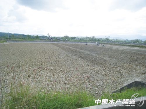 ��(ji��n)��ӡ�������׌�(du��)�r�B(y��ng)ֳģʽ