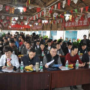 ͨ����2015ˮ�a��N�Ƽ�Փ�����A�M��Ļ��