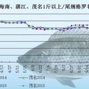 �_���~�r���܈󣺺�Ҏ������~��   ���ڃ��~�rڅ��