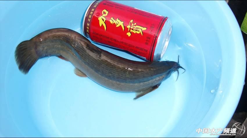 ̫�����q�@���⃺���V�᣿