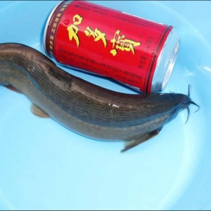 ̫�����q�@���⃺���V�᣿