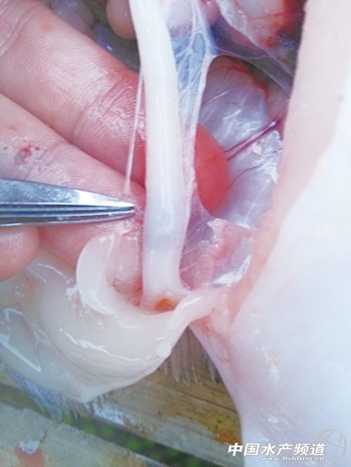 �͜ؼ���(ji��)���~(y��)��ز��ݺ�ҕ