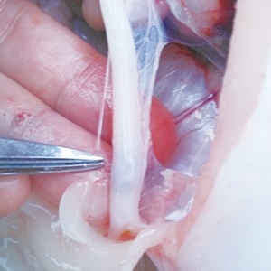 �͜ؼ������~��ز��ݺ�ҕ