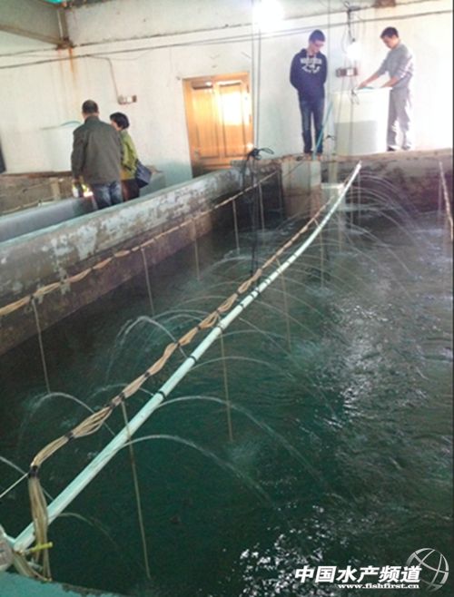 ���S�~(y��)������΢���D�����������о�