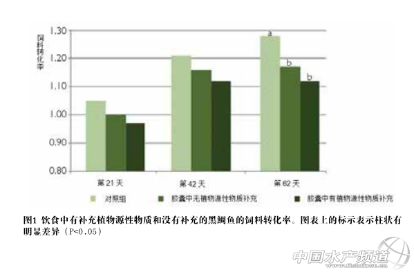 ֲ��Դ��������ӄ���(du��)�~(y��)�r���L(zh��ng)Ӱ�