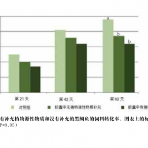 ֲ��Դ��������ӄ����~�r���LӰ�