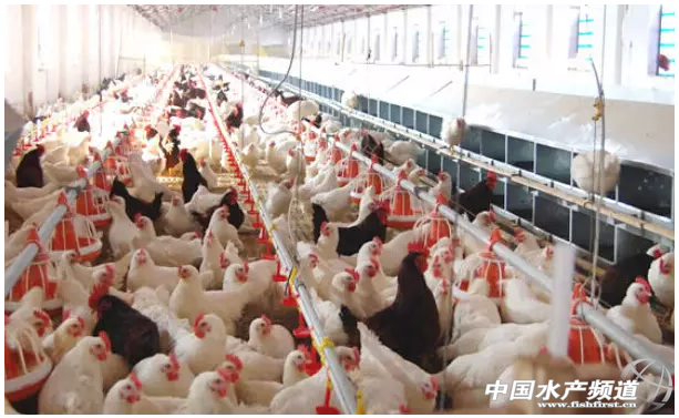 2015�r(n��ng)�I(y��)��ٍ�Xʮ�󡰃�(n��i)Ļ