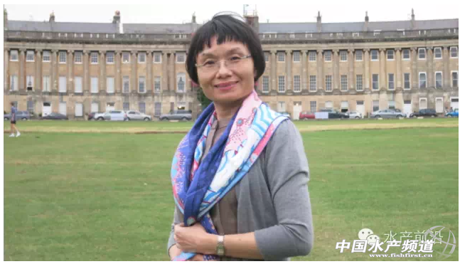 ����(��i)�����A�r(n��ng)5���(n��i)׷�Y5�|��ˮ�a(ch��n)���B(t��i)�