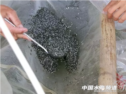 �_���~(y��)�����Ј�(ch��ng)����ƽ��