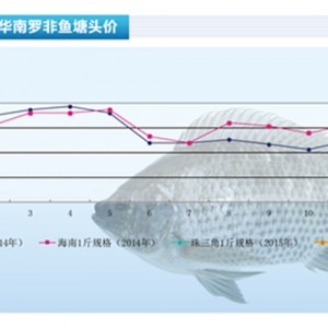 �_���~�����~���� ���ڃ��~�rڅ��������ˮ�aǰ�ء�2015��3�¿��Ј�څ��