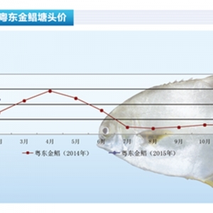 ���K�������~���p�� �r���ϝq������ˮ�aǰ�ء�2015��3�¿��Ј�څ��