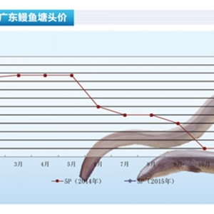 ���~���r�񷀶�������ˮ�aǰ�ء�2015��3�¿��Ј�څ��