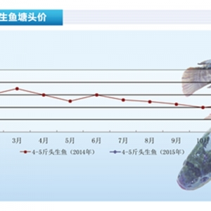 ���~���Ј����N �����~�r���»�������ˮ�aǰ�ء�2015��3�¿��Ј�څ��