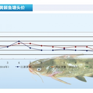 �S��~���������½� �r���ϝq������ˮ�aǰ�ء�2015��3�¿��Ј�څ��