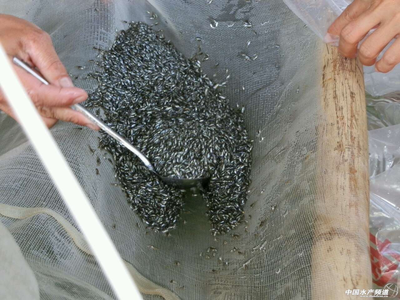 �_������ƽ���r(ji��)���(zh��n)��ˮ������100Ԫ/�f(w��n)β