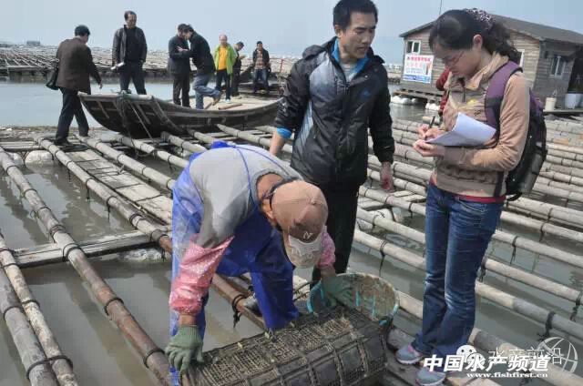 ���߿�1̖(h��o)���̅���N���������(xi��ng)Ŀͨ�^(gu��)�(y��n)��