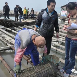 ���߿�1̖���̅���N���������Ŀͨ�^���