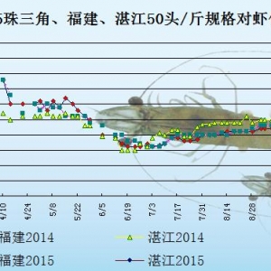���r�r���܈�ӆ���١��N����  ����څ������