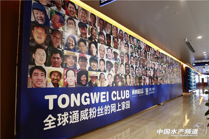 ͨ���l(f��)������(li��n)�W(w��ng)+������(d��ng)ͨ�ķ���^(q��)