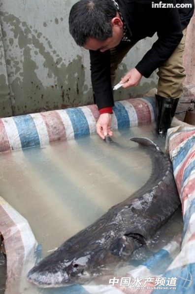 ý�w�Q(ch��ng)���A�\37�����^