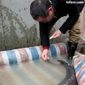 ý�w�Q���A�\37�����^