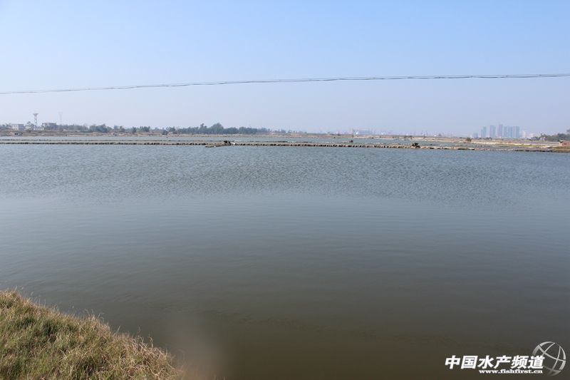 ���տ�������u�~(y��)�r���B(y��ng)ģʽ