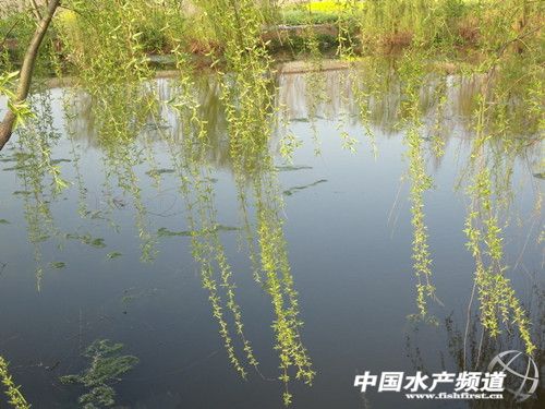 �������ˮ�|(zh��)�{(di��o)��