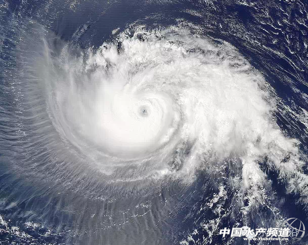 �������4-6��(g��)�_(t��i)�L(f��ng)��(y��n)��Ӱ푏V�|