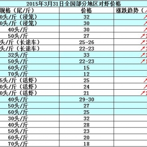 ���r��߅�r����؛������  �r�r�����ϝq