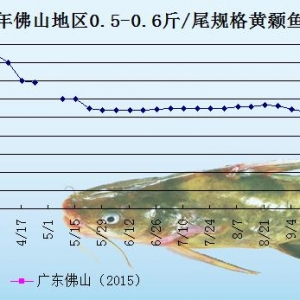 �S��~�r���܈��Ј����M����  �~�r�����»�