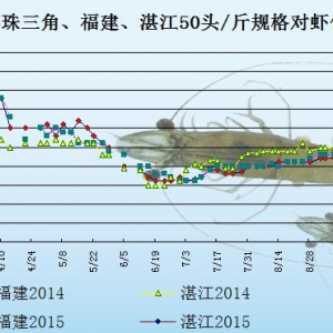 ���r��߅�r���Ј����M�Ƅ�������  �r�rڅ�򷀶�