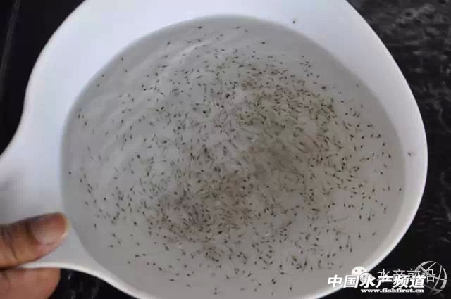 �����r��I(y��)ȫ�^��