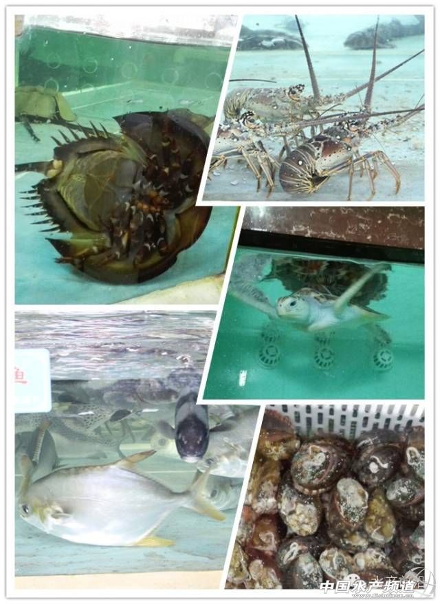 ��(gu��)(li��n)�Ƴ��_���~(y��)ȫ�a(ch��n)�I(y��)��ķ�����ģʽ