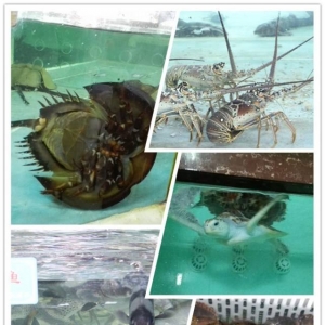 ���Ƴ��_���~ȫ�a�I��ķ�����ģʽ