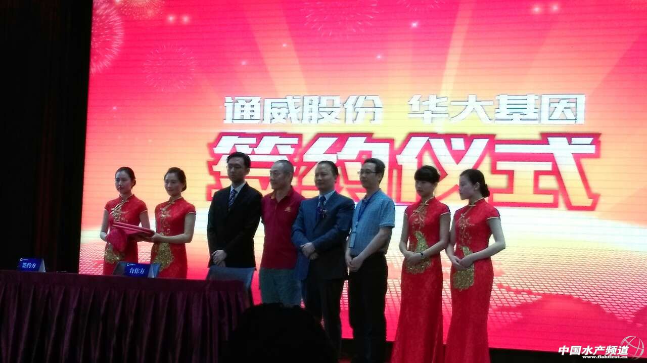 ͨ�������A����򣬺Ͽv�B�M֮�����@