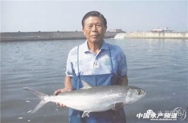  �������v�_��ʭĿ�~�a�I�lչʷ