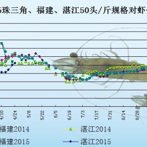 ���r�r���܈��r�r���r����  �����r�rڅ�q