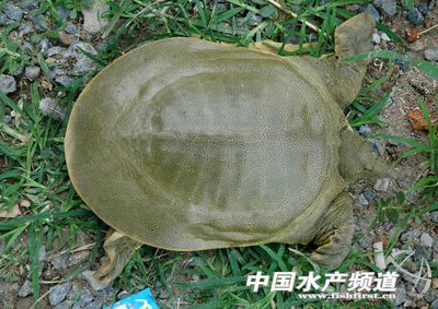 ���~���鼰�ИI�lչ��څ���A�y