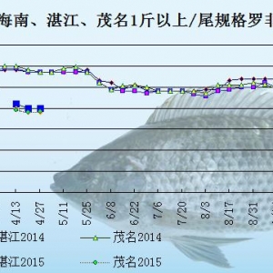 �_���~�r���܈�������m����  �~�r�y�q