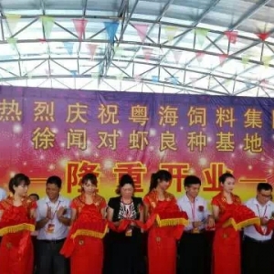 �����r��ȫ����s������ ������������ƏV