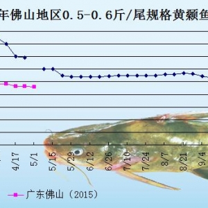 �S��~�r���܈����M���s�p  �V�|�~�r���m(x��)�»�