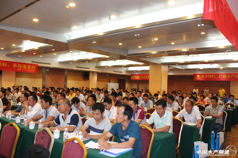 �_���~ǰ��Փ���ɴ��A�У�Ͷ�����»�40%��8��9��ȱ�~