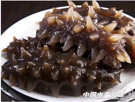 ϼ�ֿh�̅��a�I�lչ�F��