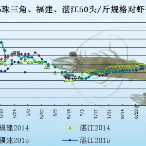 ���r��߅�r�����Mƣܛ  �r�r�»�