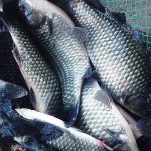 �A���A�|�a�~�q�r �A�����~�����A�|�q�r