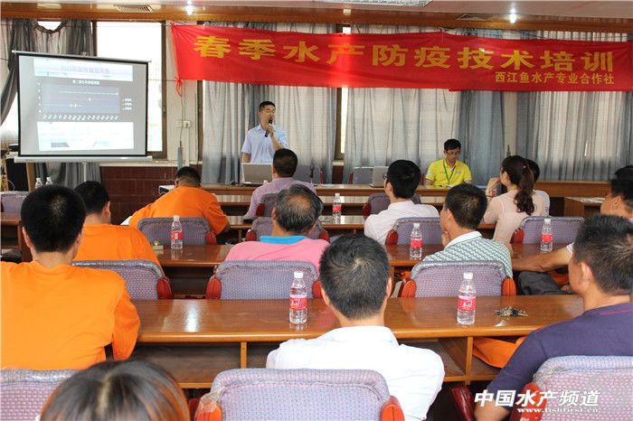 �������~����Ӗ��������Ҏ�� ��ҕ�A��