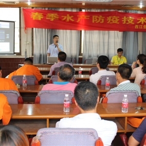 �������~����Ӗ��������Ҏ�� ��ҕ�A��